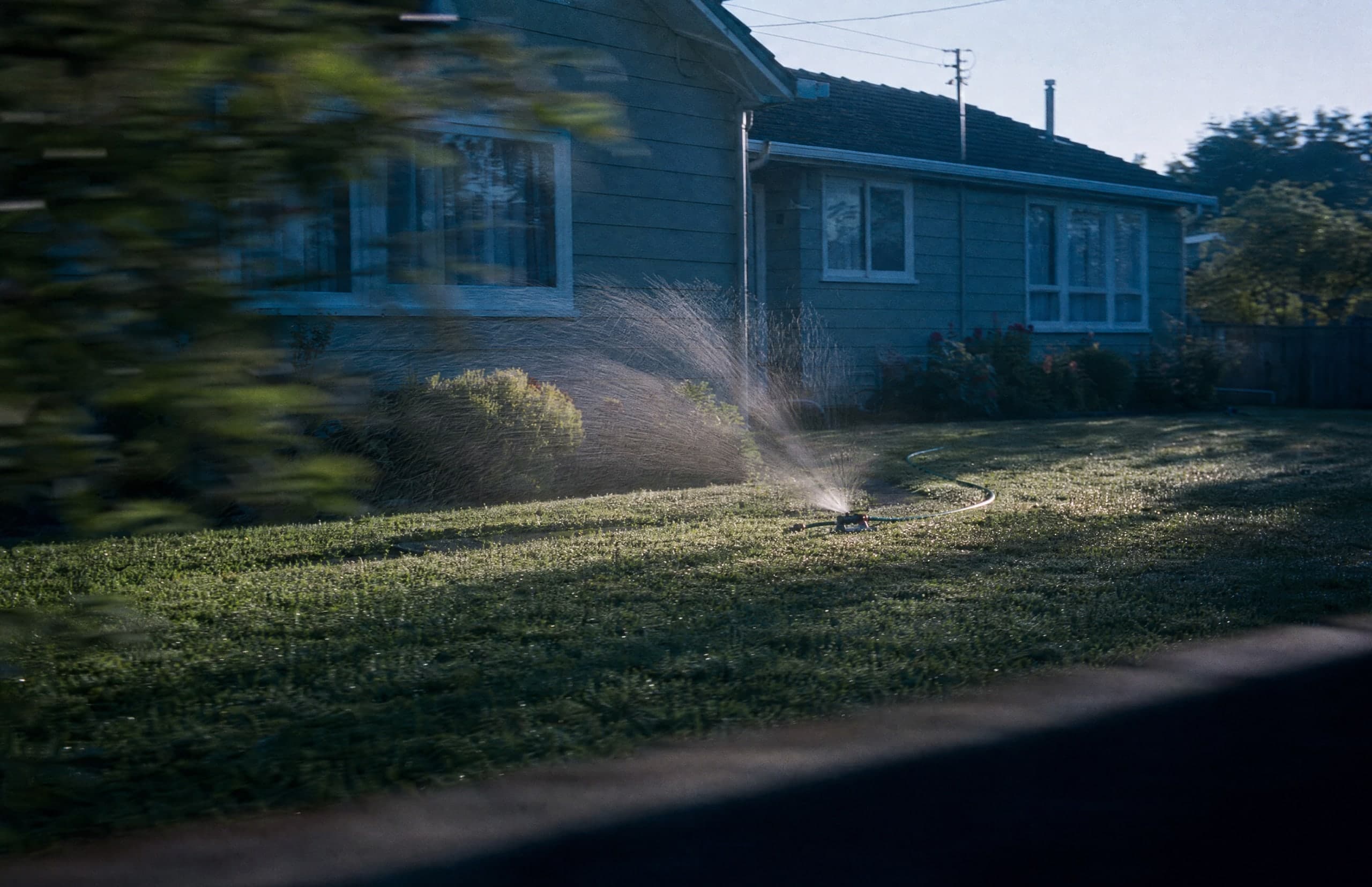 A sprinkler watering the lawn outside a weatherboard home in the early light.